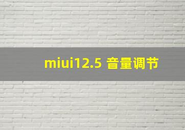 miui12.5 音量调节